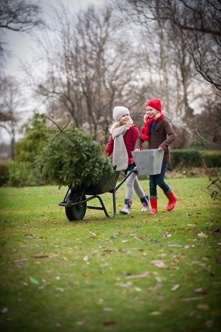 Kerst | Kerstbomen, kunstkerstbomen, kerstverlichting